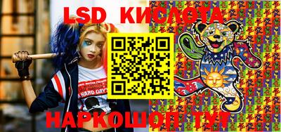индика Новозыбков