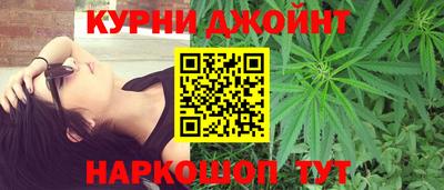 гидра Новодвинск