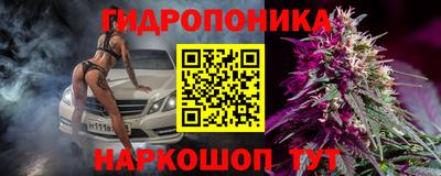 индика Новозыбков